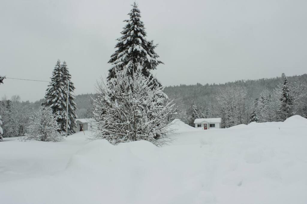 Chalet Au Bord Du St-Maurice La Tuque Eksteriør bilde